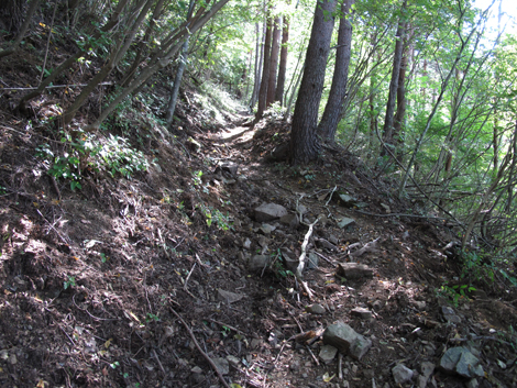20151014hike (104)